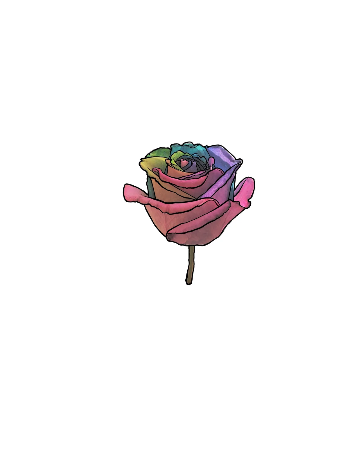 Colored drawing of a rainbow-hued rose